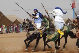 Image du Maroc Professionnelle de  Course typiquement marocaine dite ''la Fantasia'' organisé dans un site désertique sur lequel la ville de Tan Tan a toujours accueilli la majorité des tribus et des grandes familles nomades du désert lors d'un grand moussem, Samedi 24 Mars 2012. (Photo / Abdeljalil Bounhar)

 